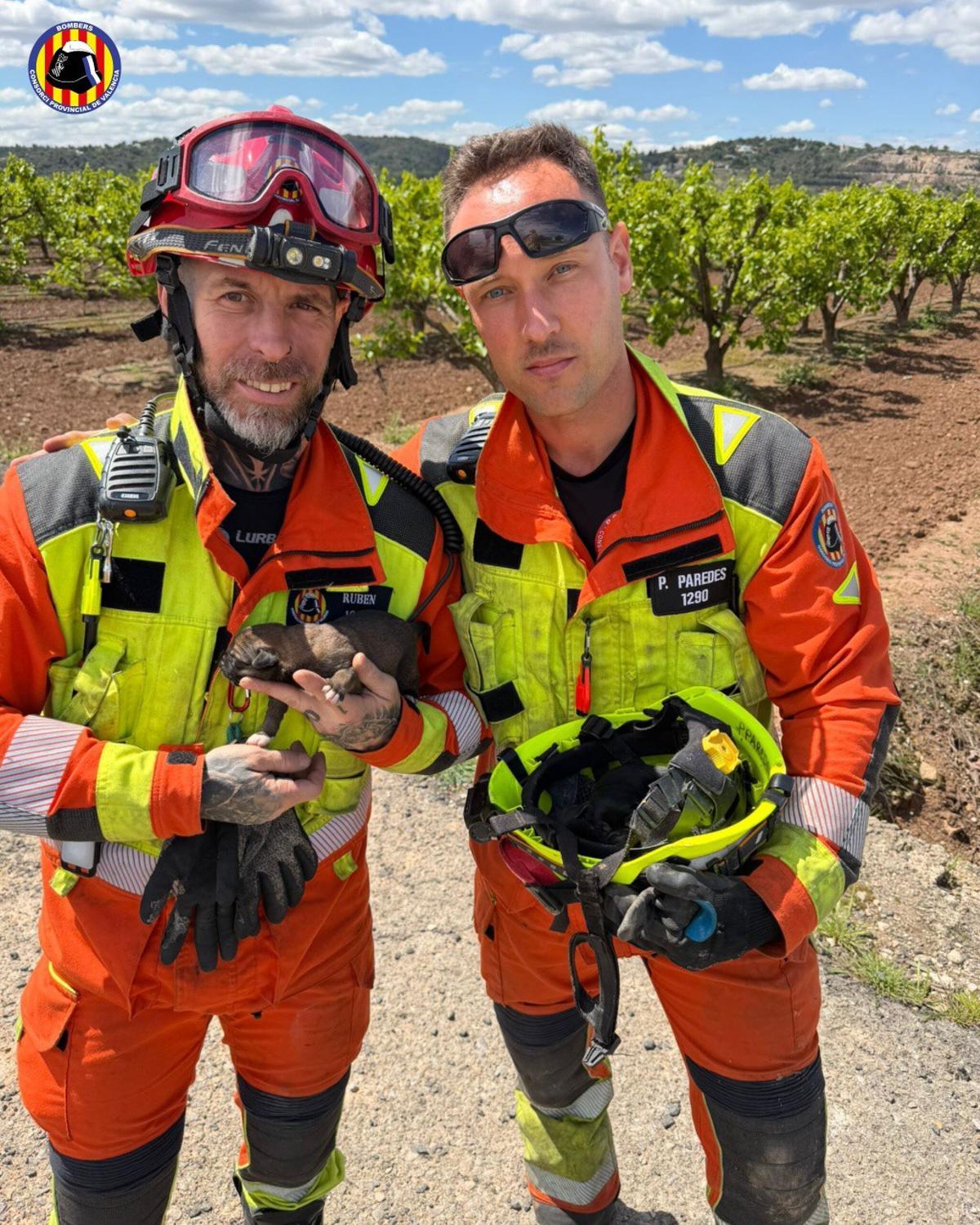 Los bomberos de Alzira con uno de los cachorros rescatados.