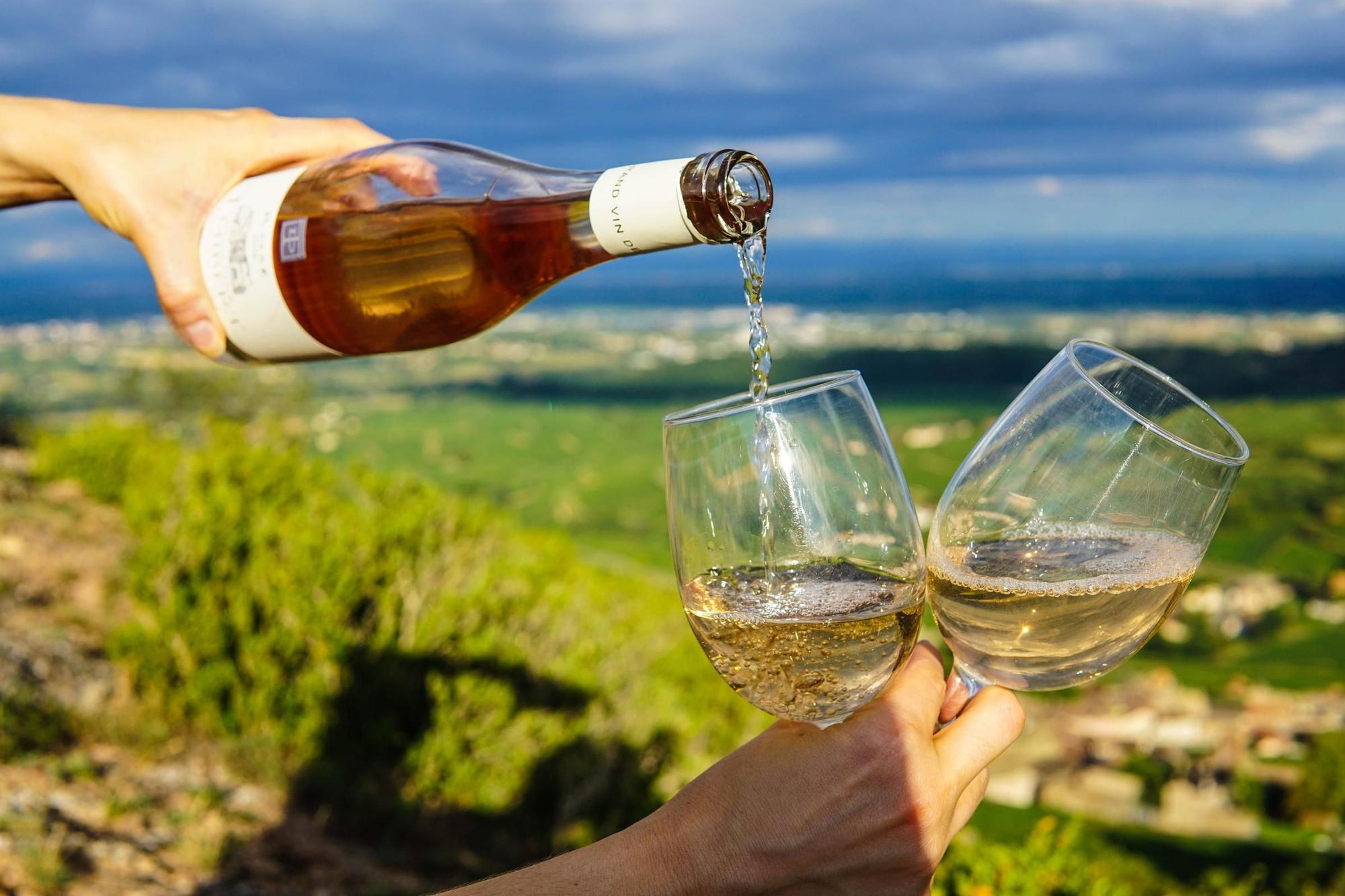 Juego de 7 copas grandes para degustación de vino en vid…