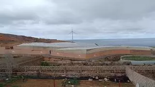 El Gobierno canario aprueba la instalación de una central energética vinculada a la planta de biogás en Guía