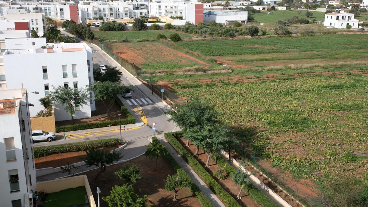Imagen del terreno en Sant Jordi donde se ubicarán las nuevas casas para los vecinos.