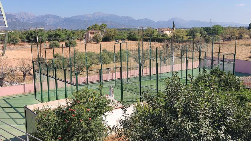 El Consell deniega la legalización de una pista de pádel sin licencia en Biniali