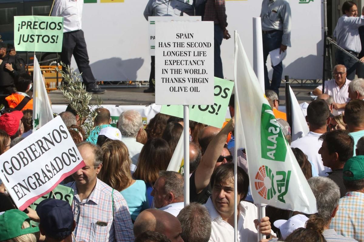 Córdoba se suma a la gran manifestación del olivar en Madrid