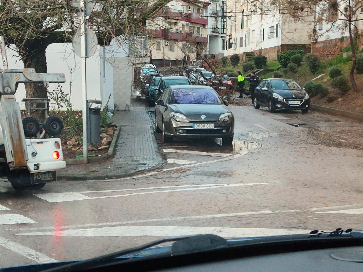 Los efectivos en la calle Coria.