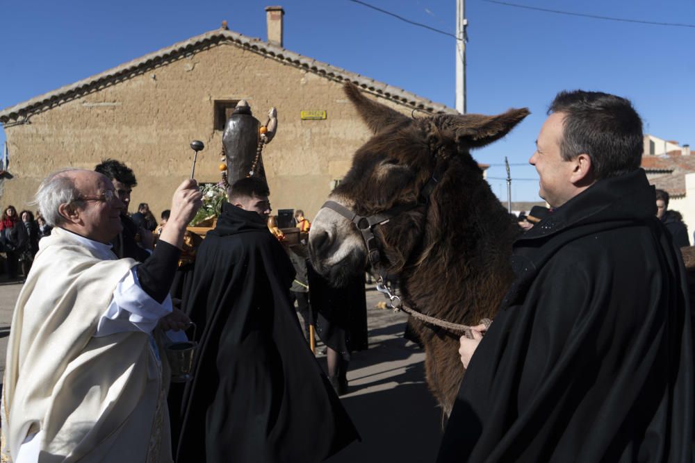 Monfarracinos celebra San Antón con las tradicionales "relaciones"