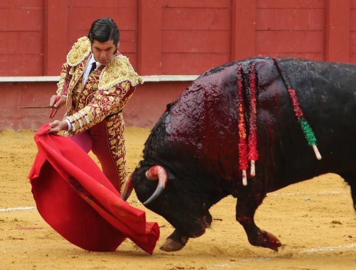 TOROS