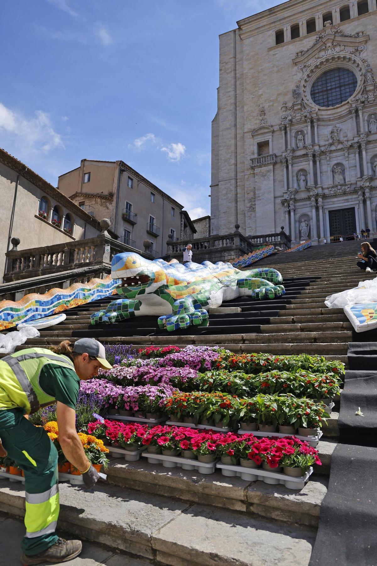 Les imatges dels preparatius de Temps de Flors