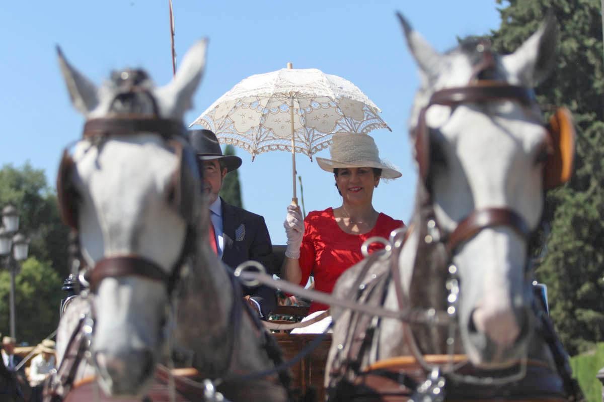 Fotogalería / Exhibición de carruajes