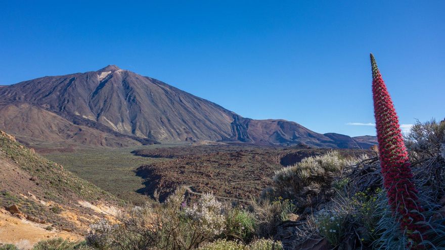 The weather for Friday in the Canary Islands: heat above 30 degrees and wind