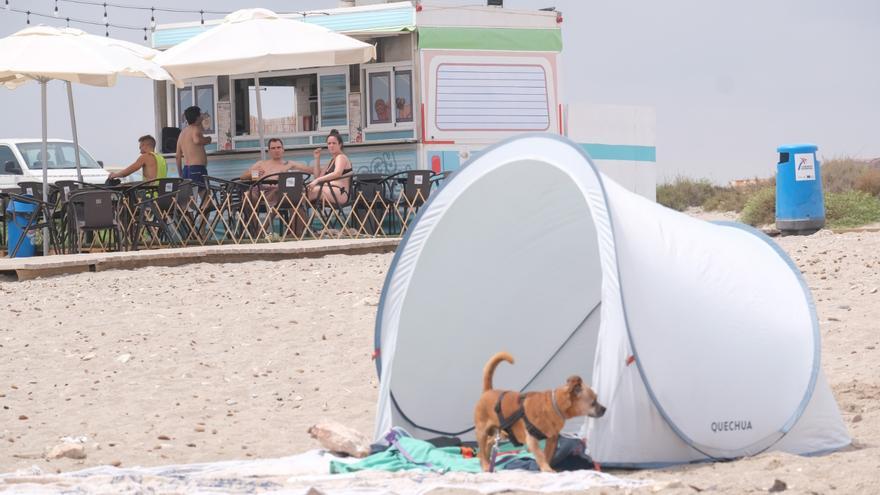 Los servicios llegan a cuentagotas a la playa de perros de Alicante