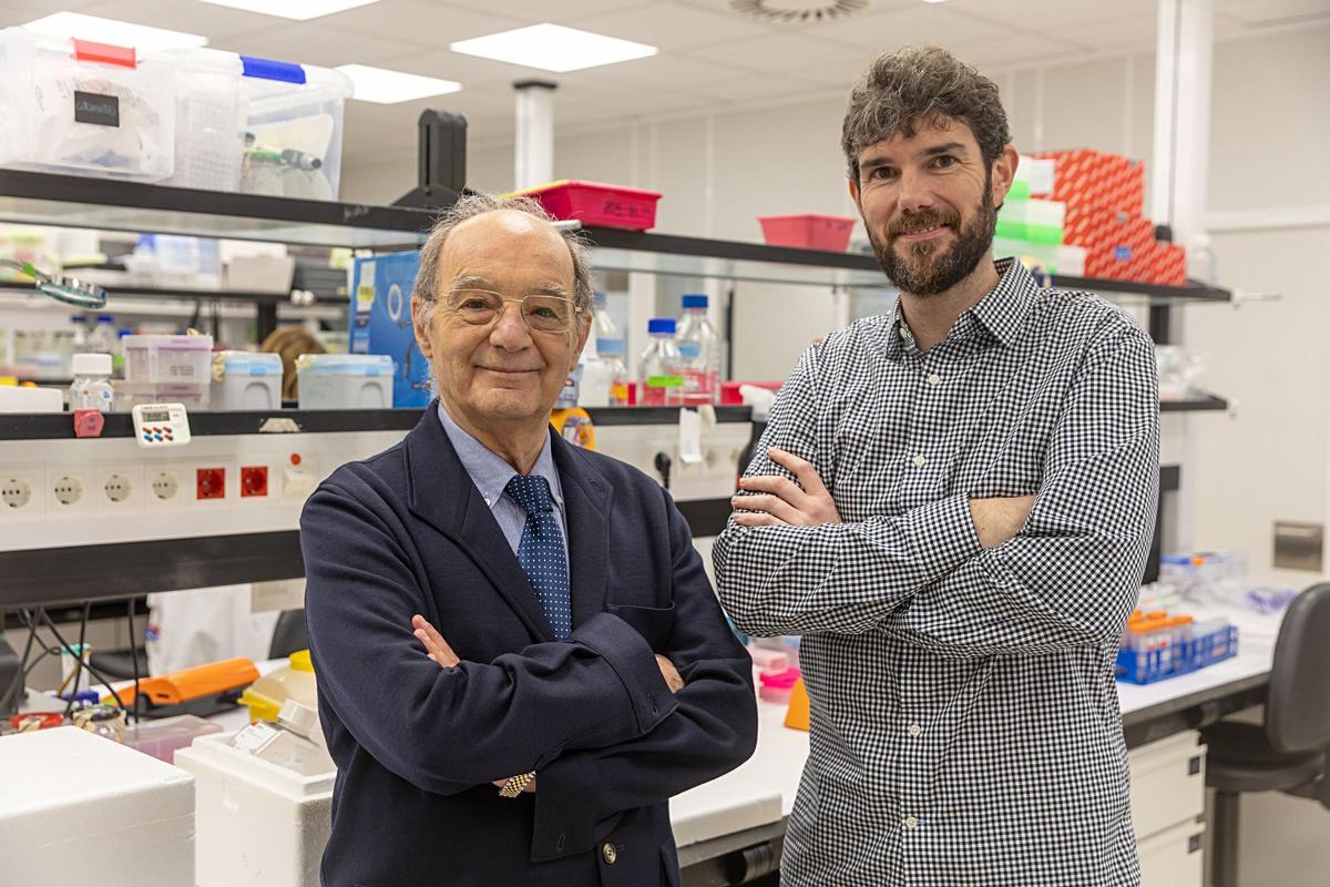 Jesús Prieto, a la izquierda, y Juan Dubrot, directores del proyecto de investigación.