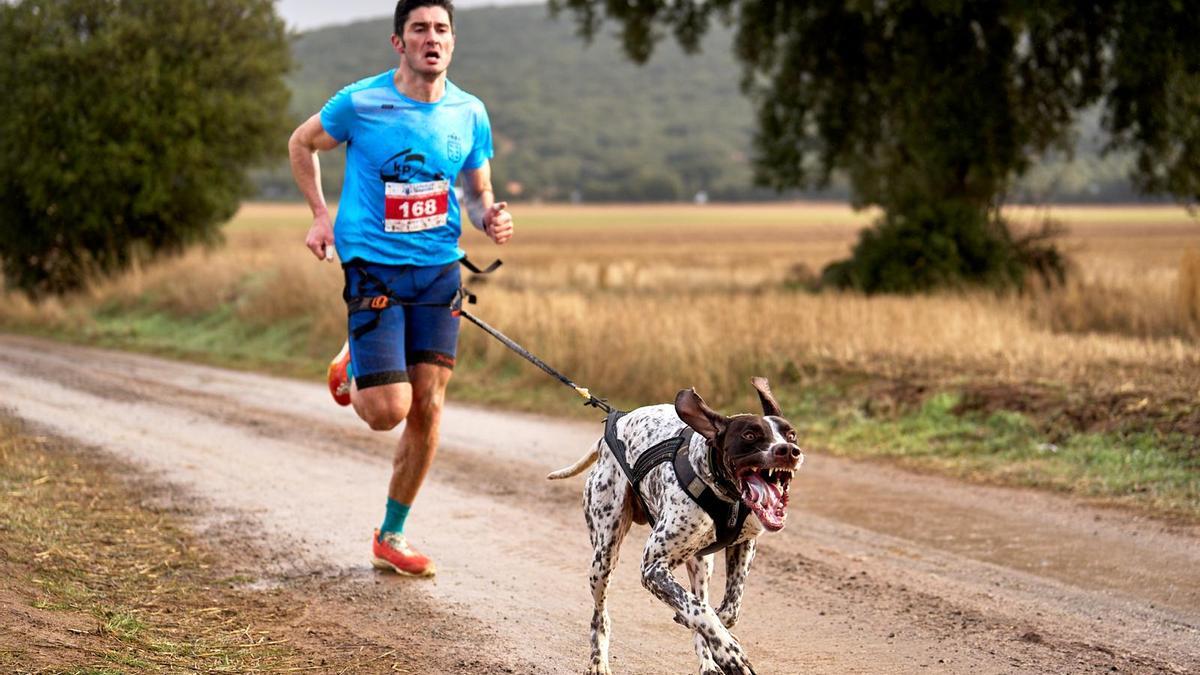 Adrián González y "Atlas" en el desarrollo del Campeonato de España de Mushing, celebrado en Soria el 6 y 7 de diciembre.