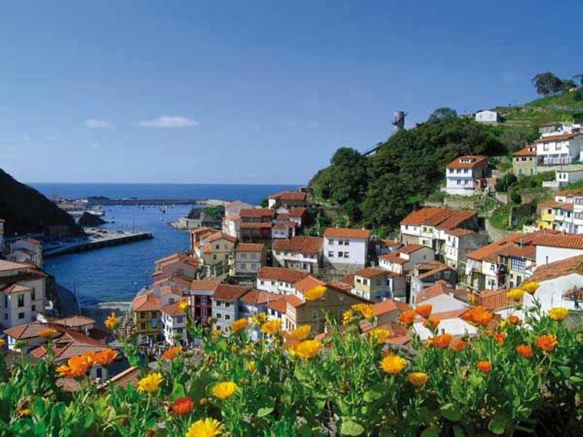 Pasear en una olorosa pumarada en Asturias