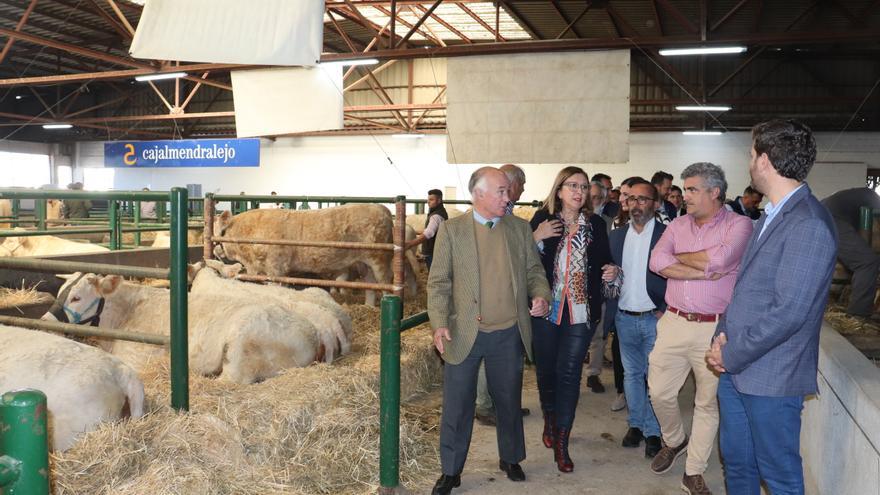 La Junta trabaja para que las ayudas contra la EHE se abonen antes de que finalice el año