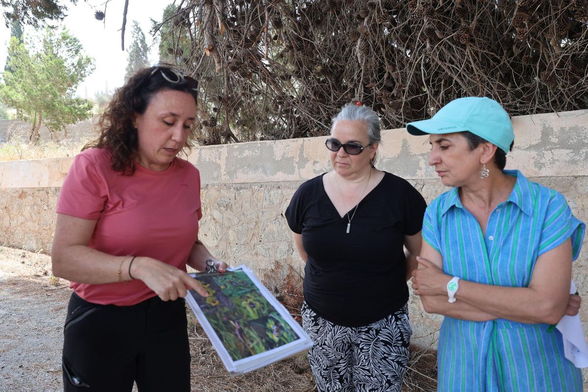 Olivia López muestra la imagen de distintas especies de orquídeas de Balears que se pueden encontrar en la zona.