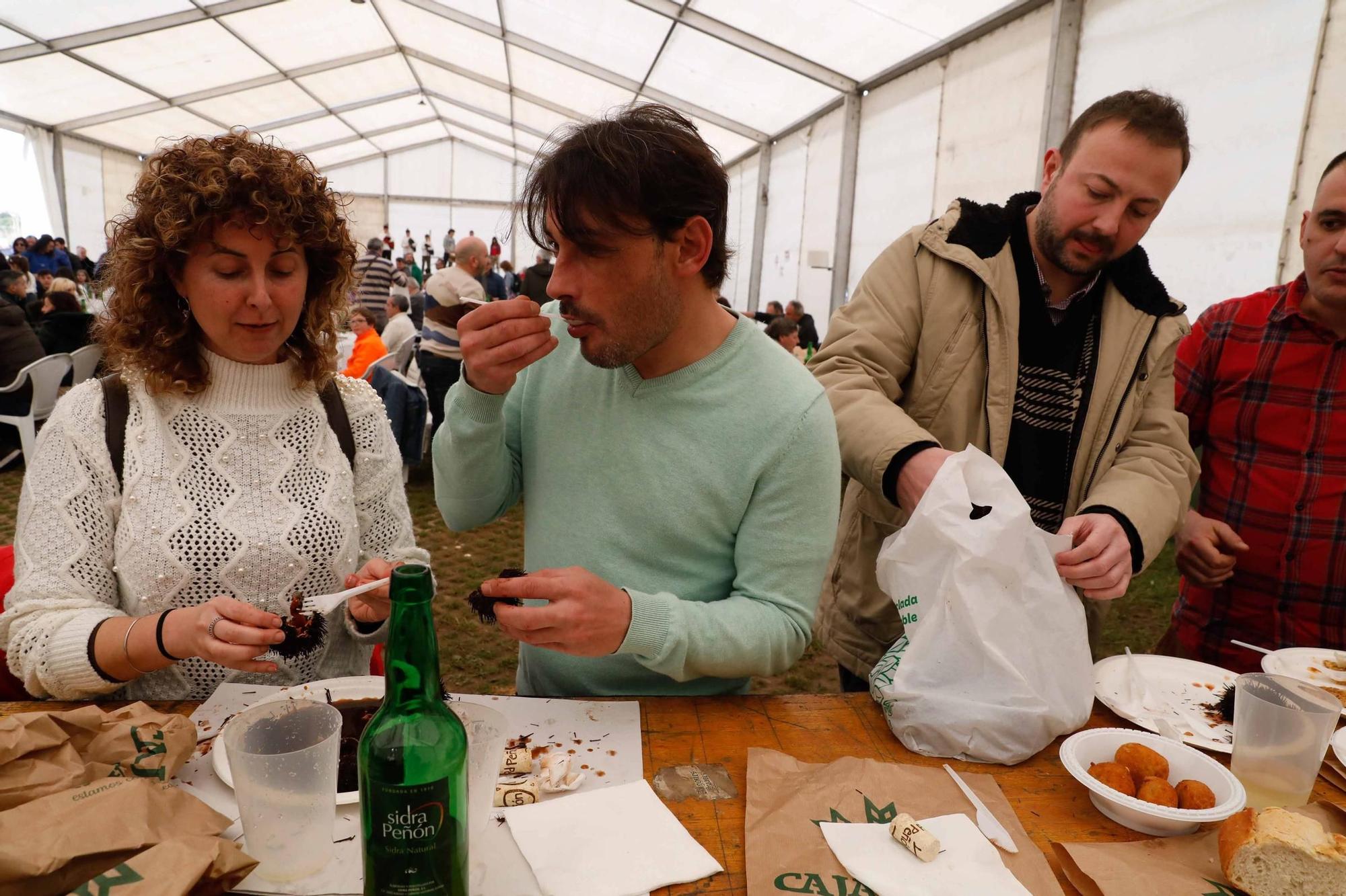 EN IMÁGENES: Así ha sido el festival del oricio de Bañugues