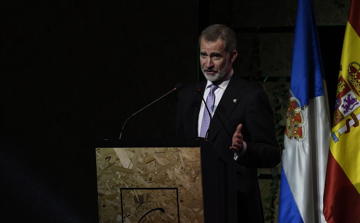 Felipe VI, en un momento de su intervención.