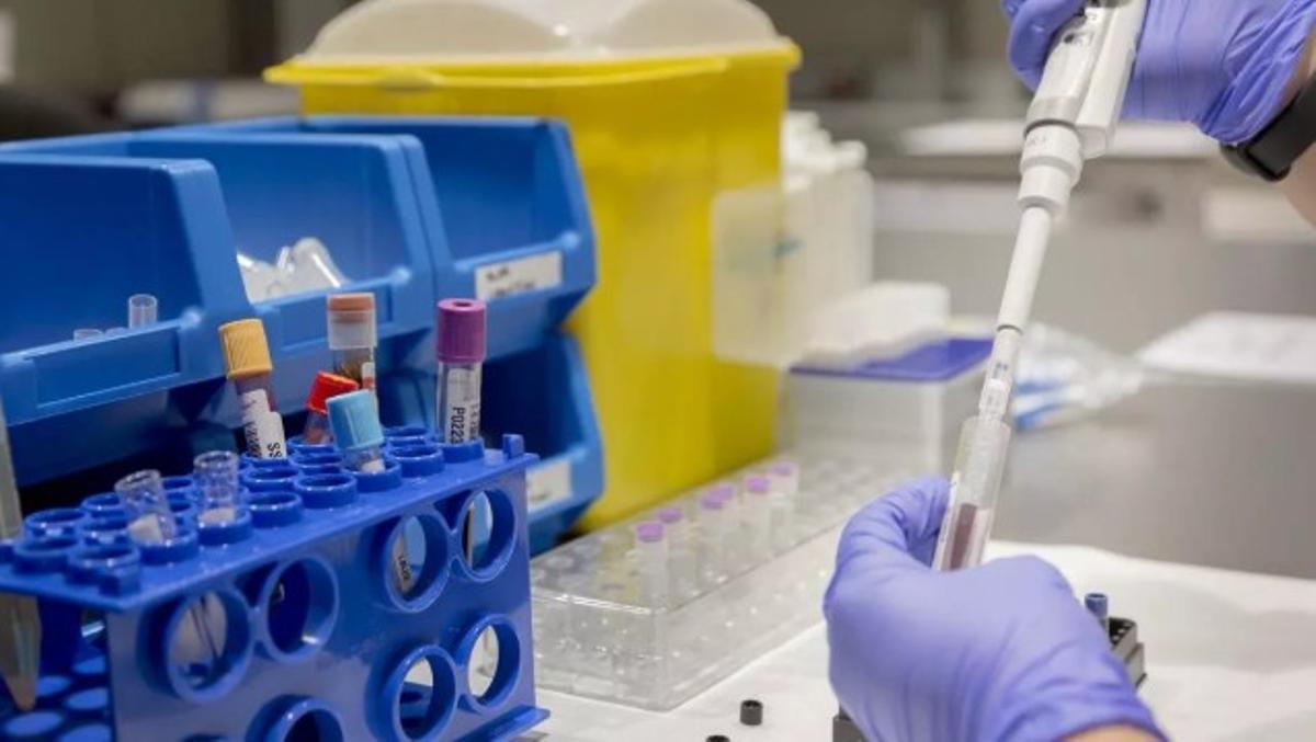 Un técnico de laboratorio trabaja con muestras de sangre.