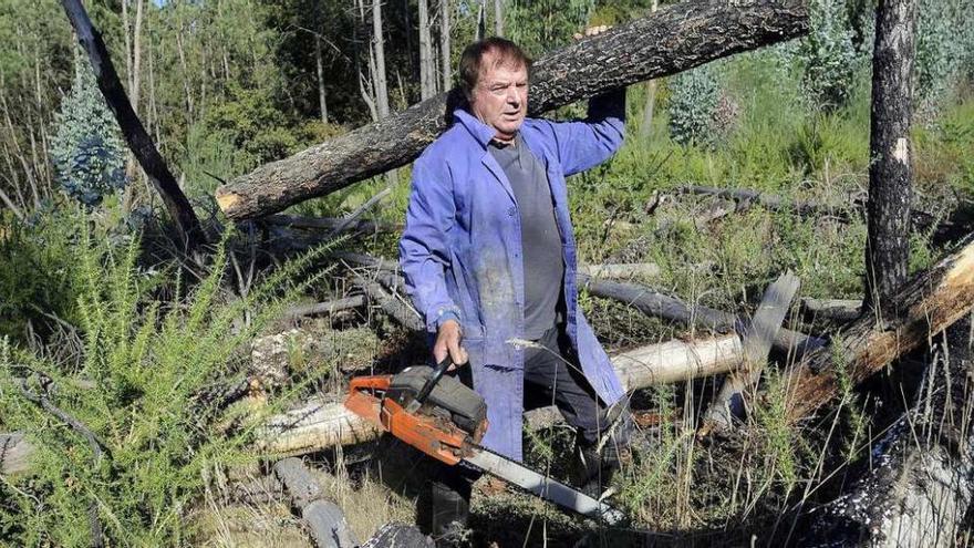 Aurelio Fernández carga un tronco quemado, tras aserrarlo. // Bernabé/Javier Lalín