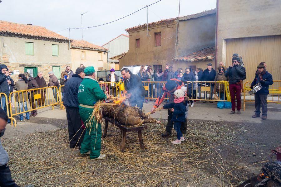 Matanza del cerdo en Tábara