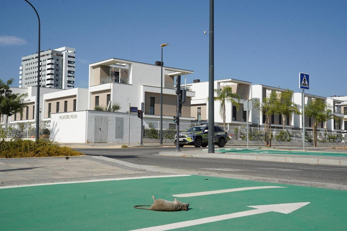 El nuevo barrio de Isla Natura en Palmas Altas, en imágenes
