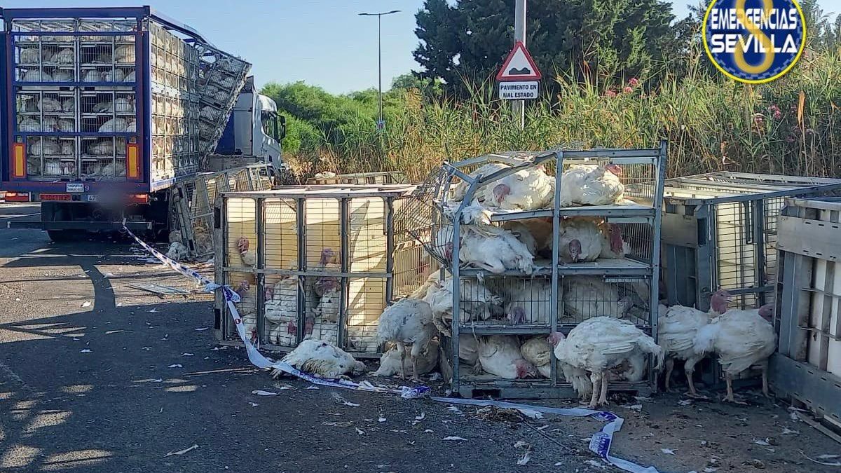 Desplazamiento de una camión de mercancías en la SE-20 sentido Aeropuerto