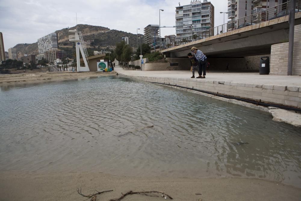 El temporal causa daños en las playas de Alicante