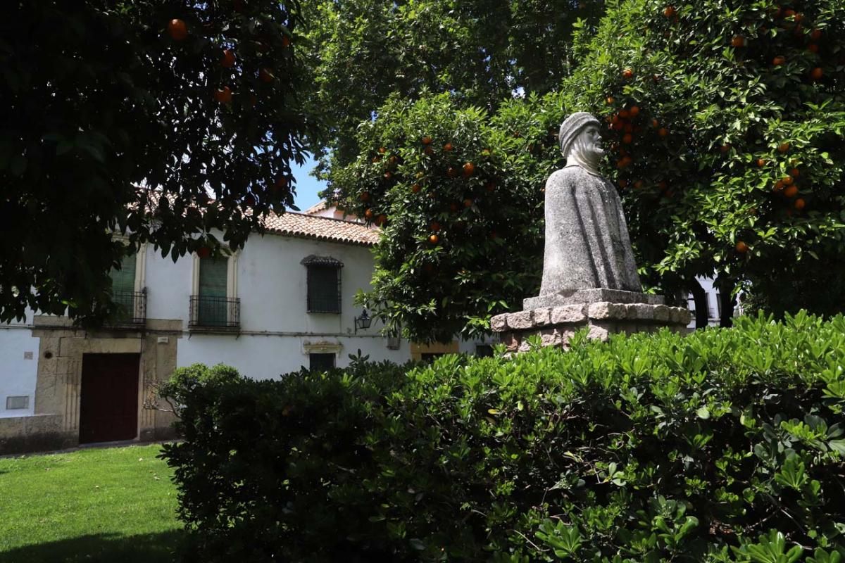 Paseo por el Alcázar Viejo durante la crisis del coronavirus