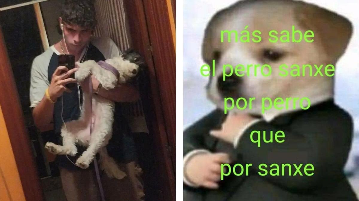 Creador del meme viral 'Más sabe el perro sanxe por perro que por sanxe'.