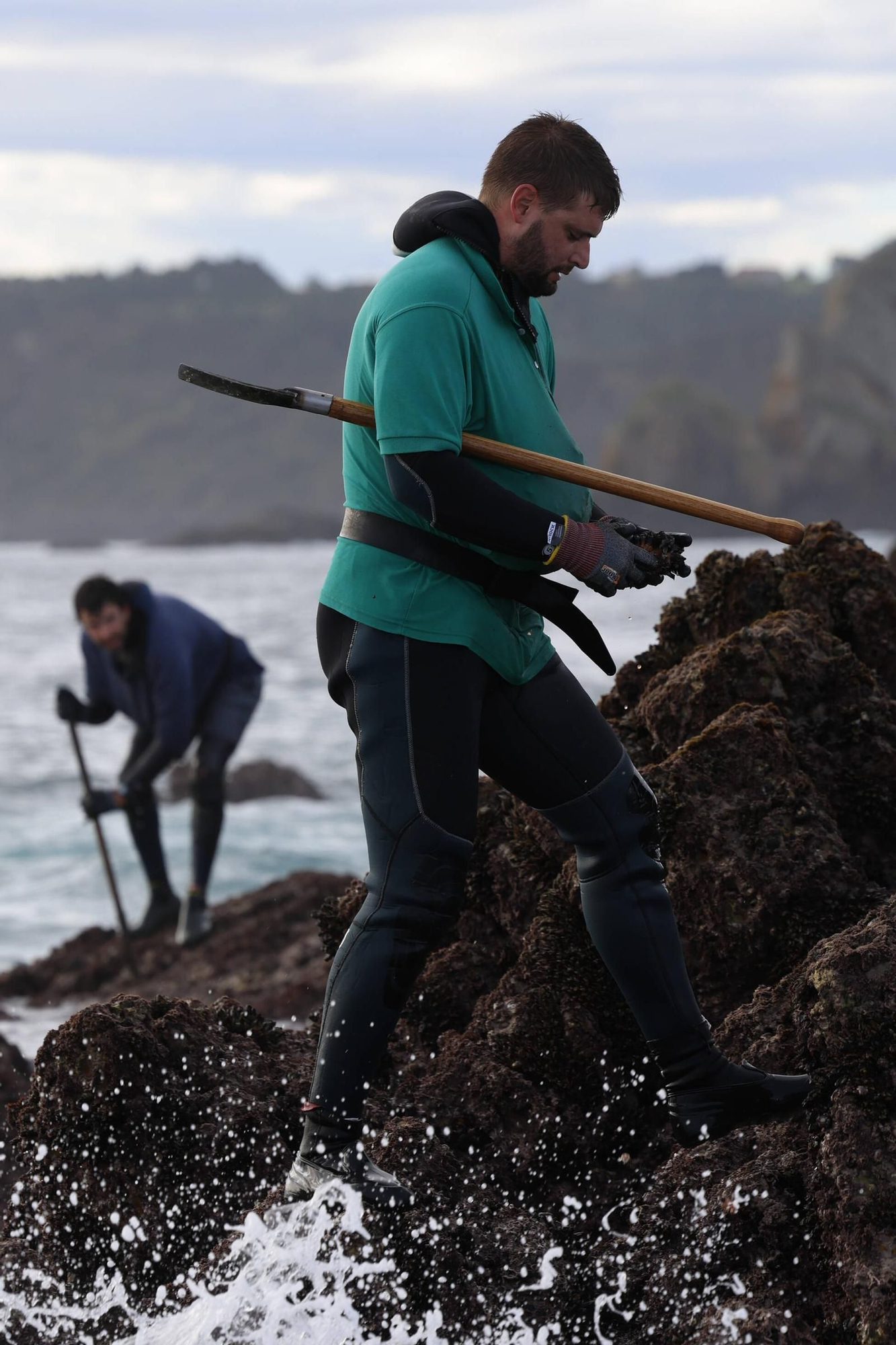 EN IMÁGENES: Así es la dura jornada de los perceberos del cabo Peñas: un oficio de alto riesgo a merced de las olas