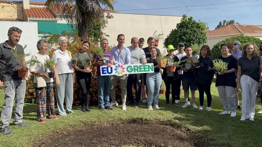 Romero, tomillo y lavanda para que las abejas también encuentren casa en San Blas de Cáceres