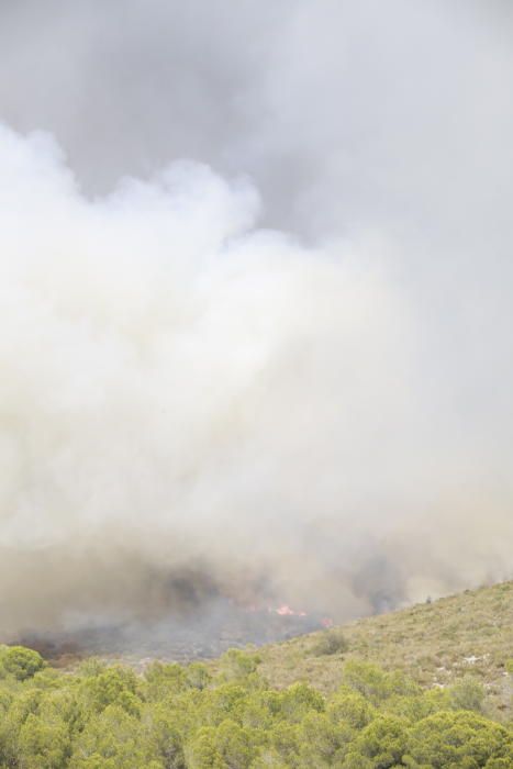 Incendio forestal en Llutxent