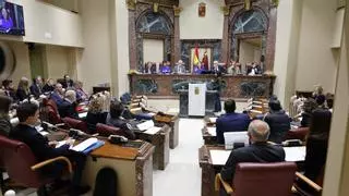 Esto es lo que cobran al mes los grupos parlamentarios de la Asamblea