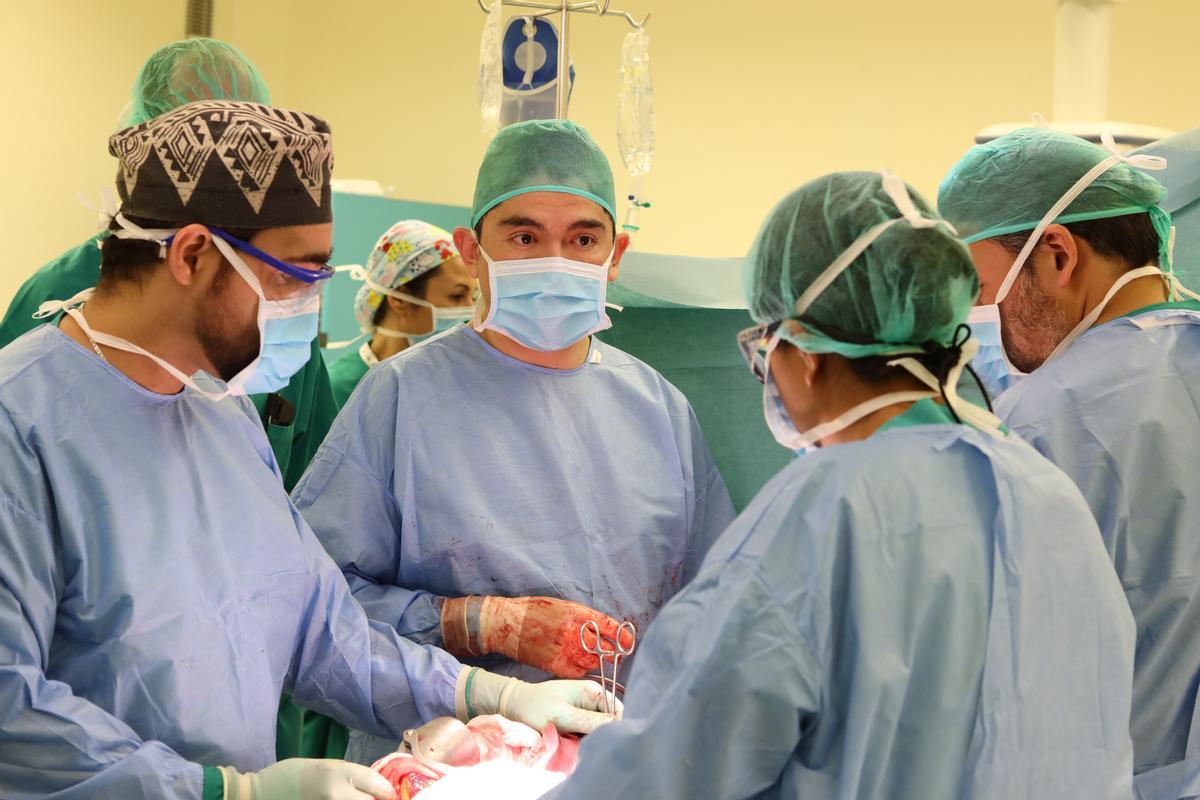 Especialistas del hospital Vall d'Hebron, en una extracción de órganos en Can Misses en 2018