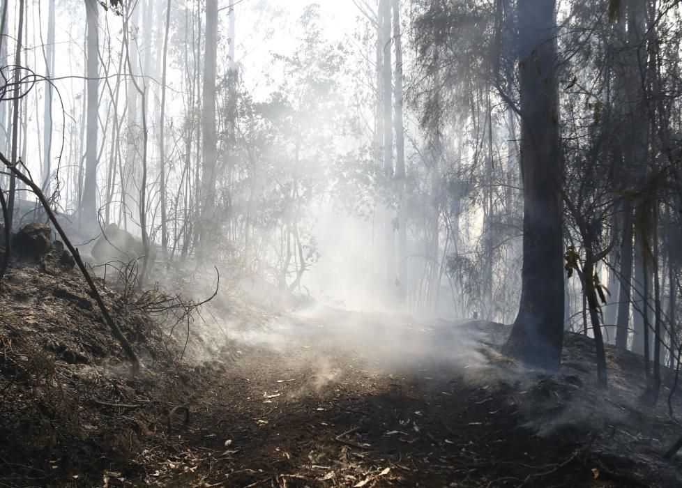 El incendio originado en Soutomaior se propagó hasta Redondela y obligó a desalojar varias viviendas