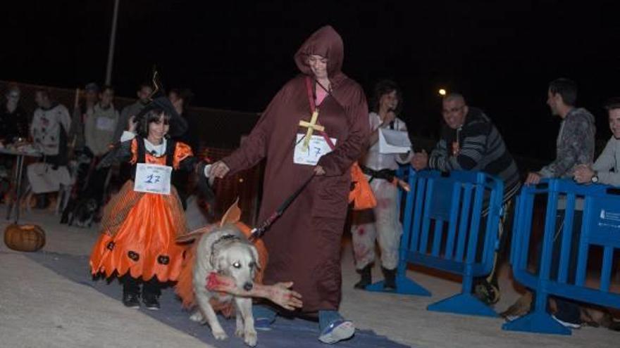 «Halloween»  canino en Gran Alacant