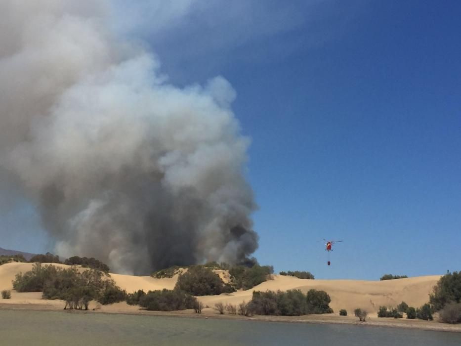 Incendio en las Dunas y Charca de Maspalomas