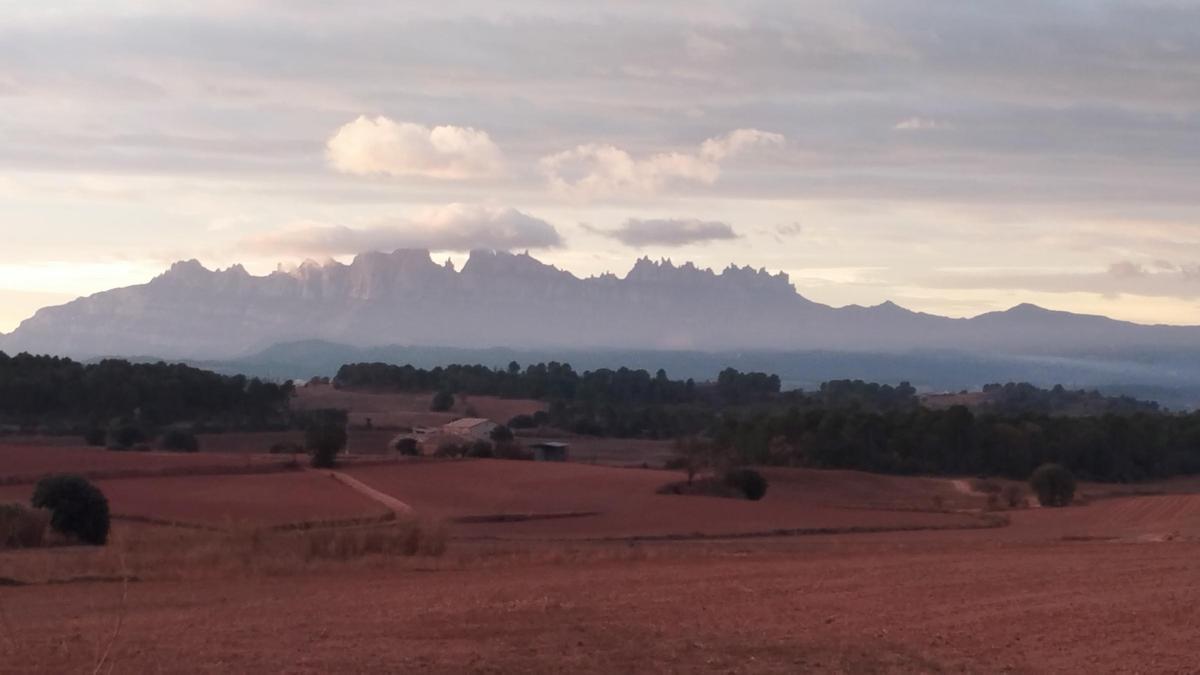 Albada a Cardona.