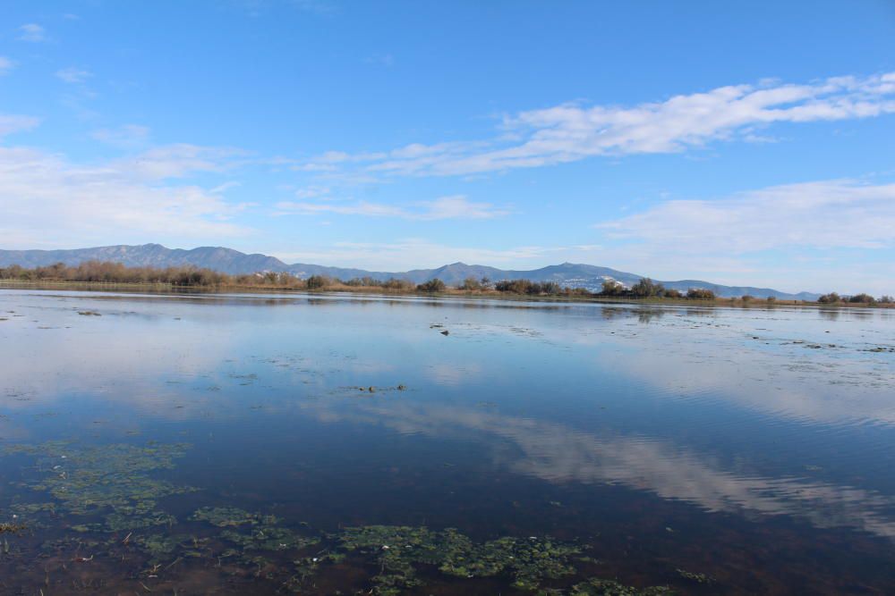 Els Aiguamolls de l''Empordà fan honor al seu nom