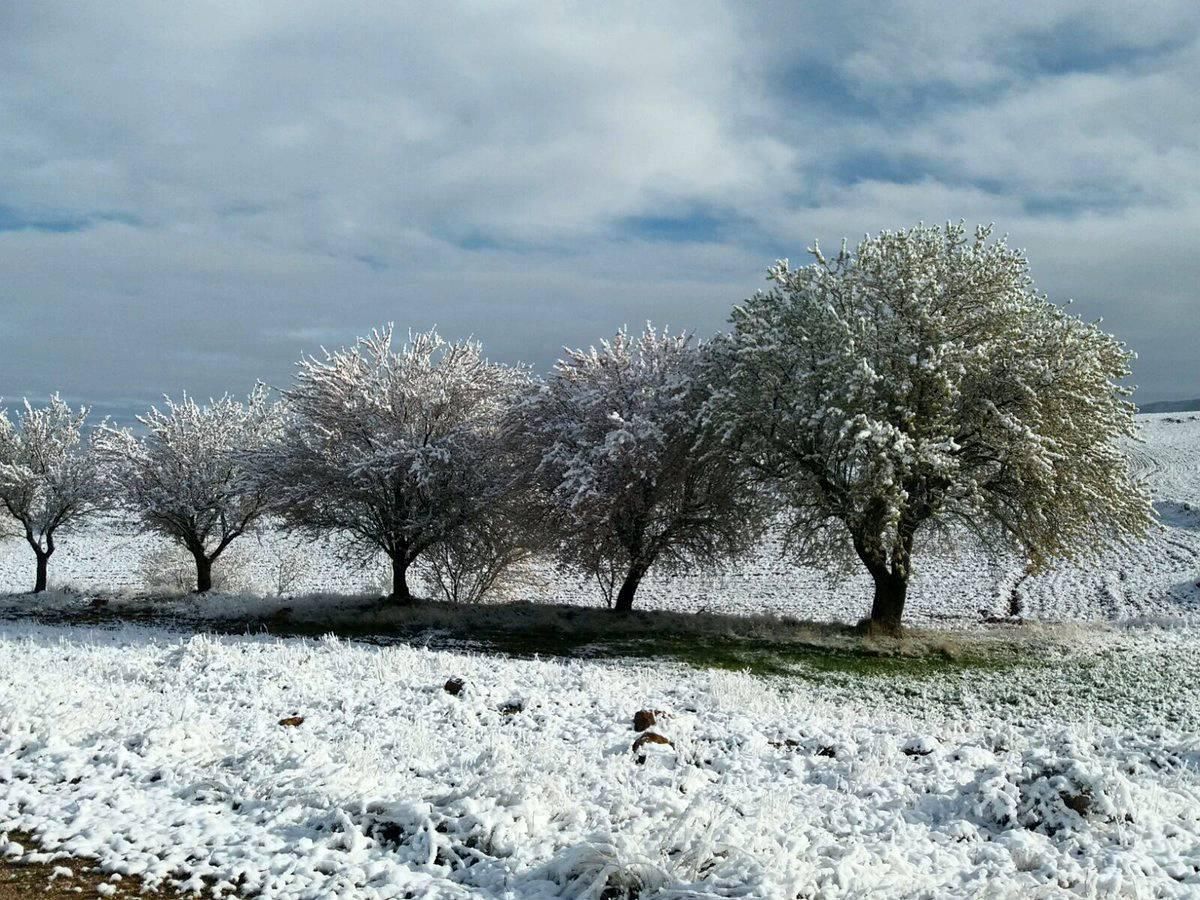 La nieve en primavera