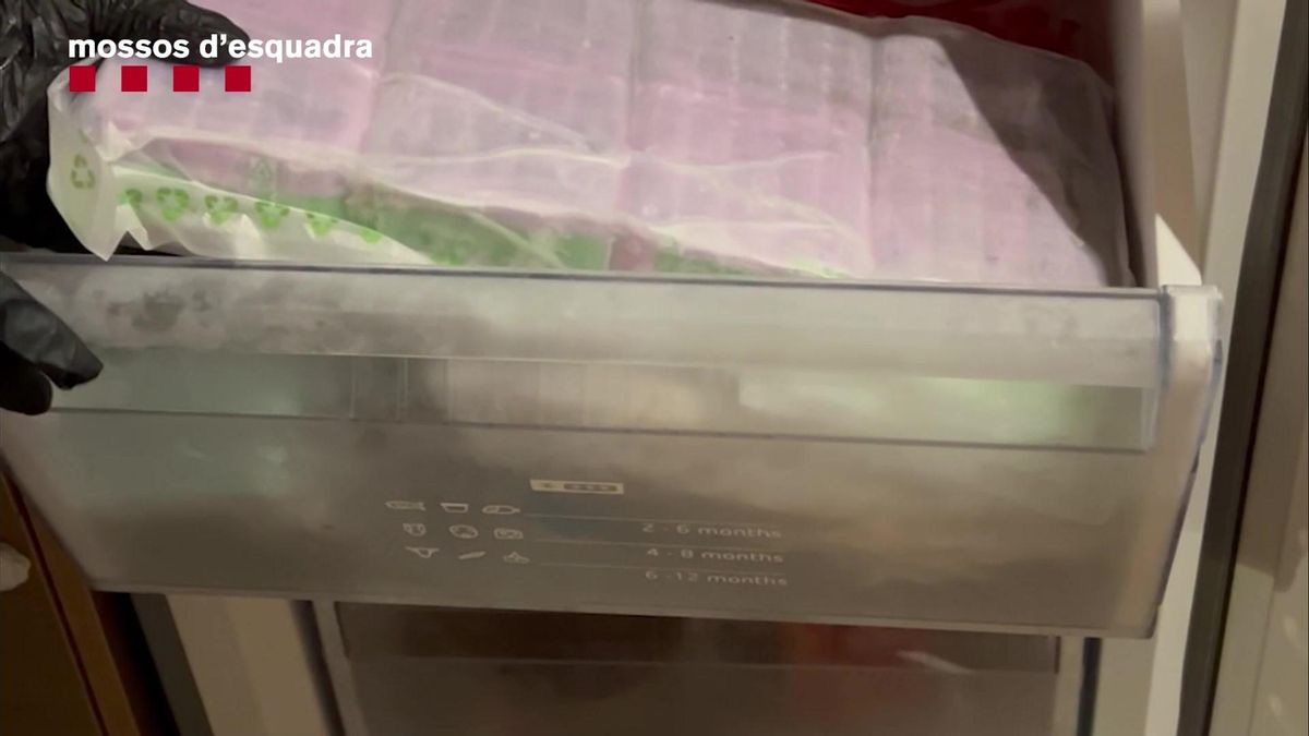 Marihuana a domicilio: cae en Barcelona una banda que distribuía droga por Europa con servicios de paquetería