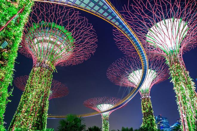 Cloud Forest, Singapur