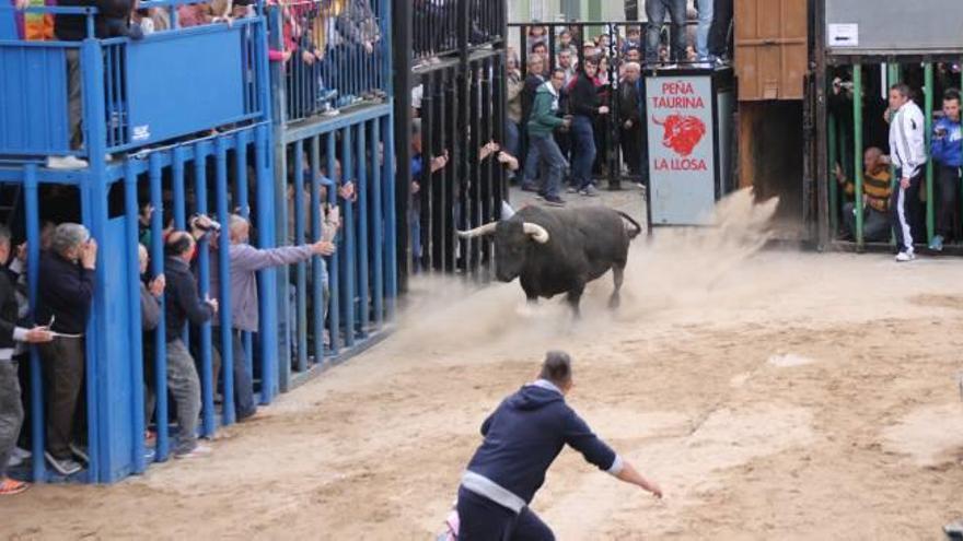 Clavariesas, peñas y ayuntamiento preparan las fiestas en La Llosa