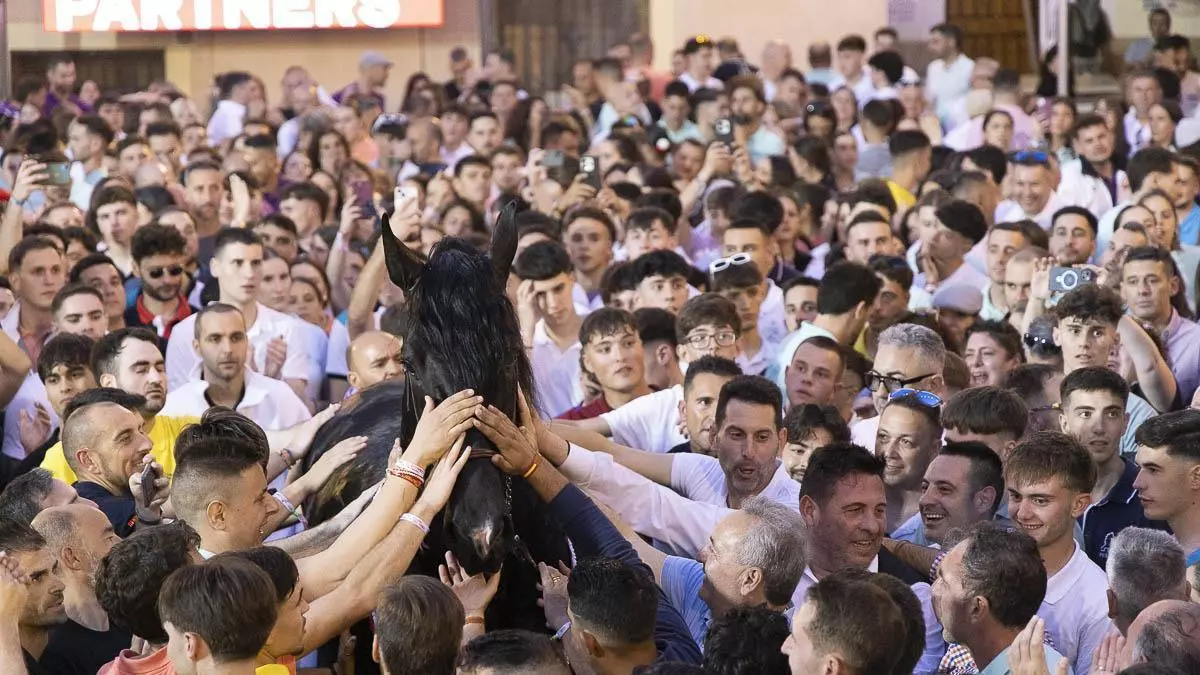 El caballo Seductor se convierte en el rey del Hoyo
