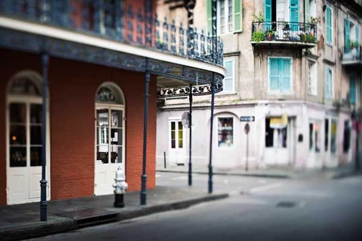 La conjura de los necios