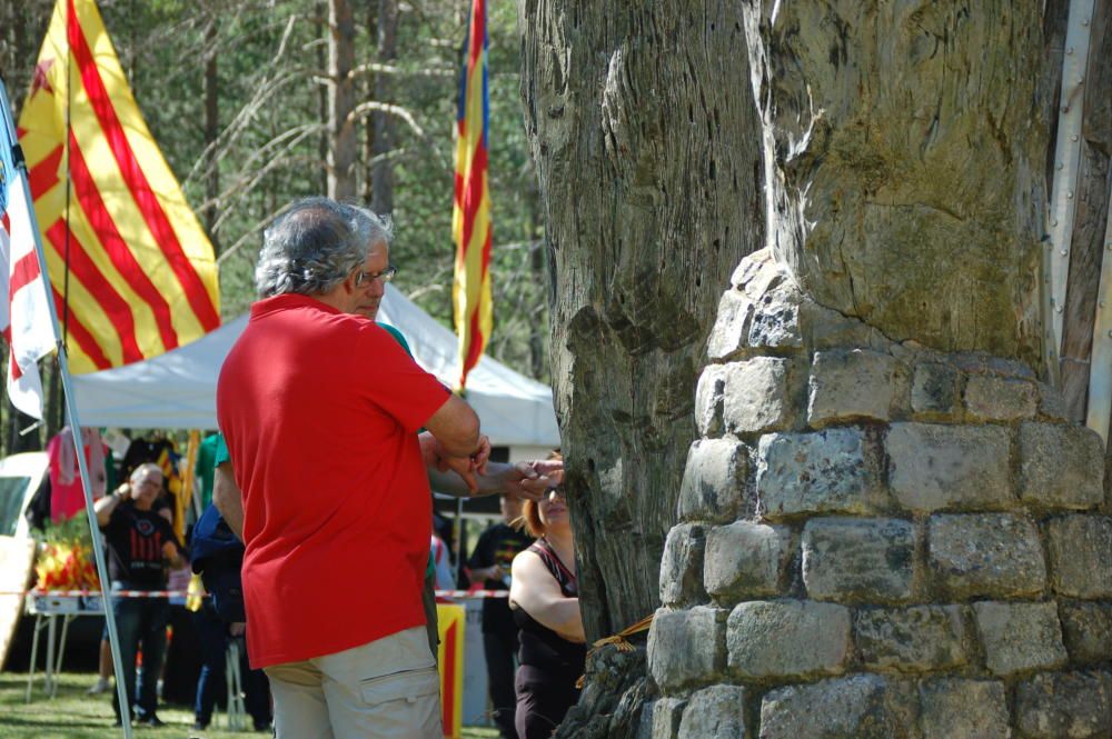 Aplec del Pi de les Tres Branques