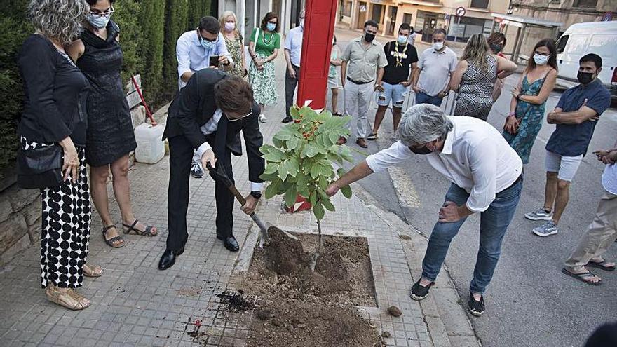 Plantada de l’arbre, enguany a l’avinguda de l’Escola Pia | MIREIA ARSO