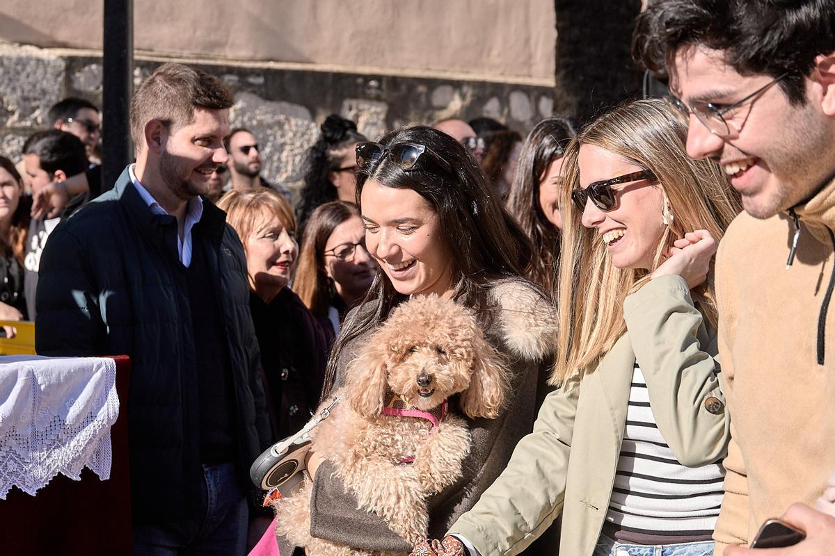 Gran fin de semana en el Porrat de Beniopa con las calles llenas de gente Gran fin de semana en el Porrat de Beniopa con las calles llenas de gente
