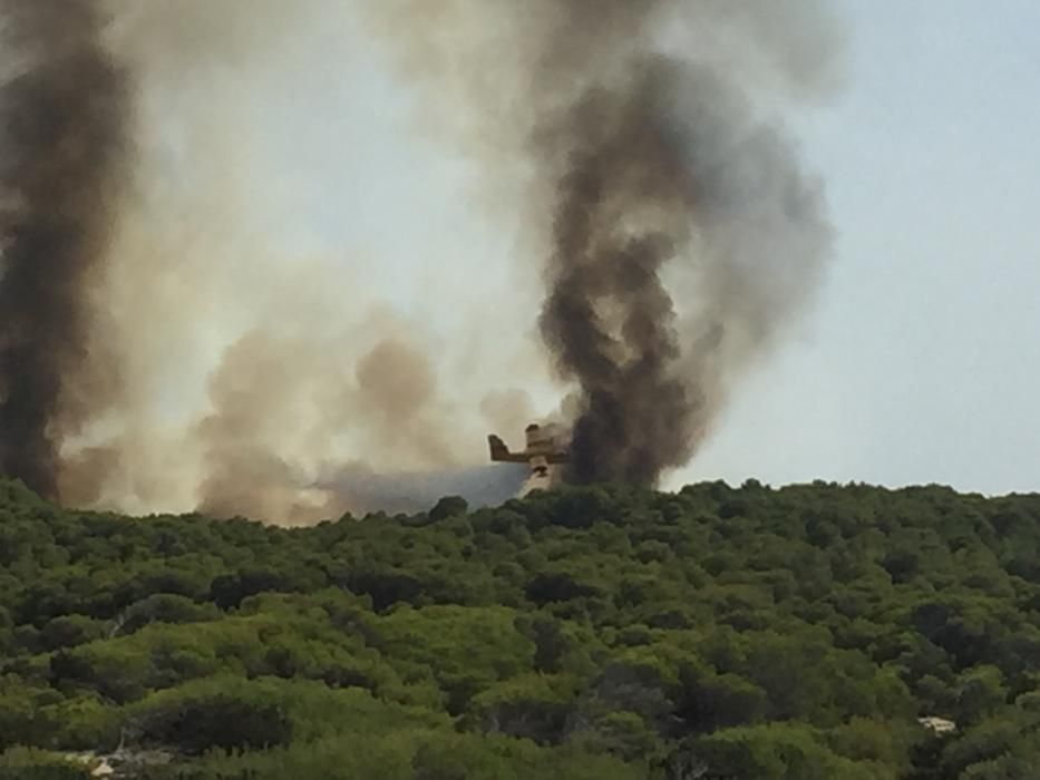 Im Gebiet von sa Canova im Nordosten von Mallorca ist am Mittwochnachmittag (17.8.) erneut ein Waldbrand ausgebrochen, nachdem es nur zwei Tage zuvor bereits gebrannt hatte. Das Feuer war gegen 2 Uhr nachts unter Kontrolle und zerstörte rund 23 Hektar Kiefernwald.