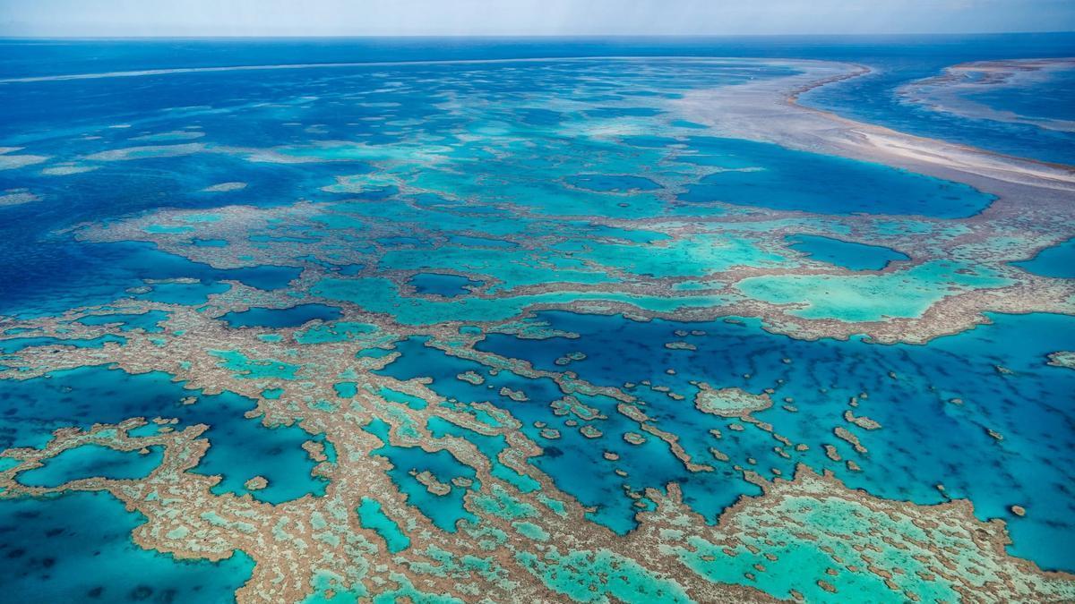 La Gran Barrera de Coral, en Australia.