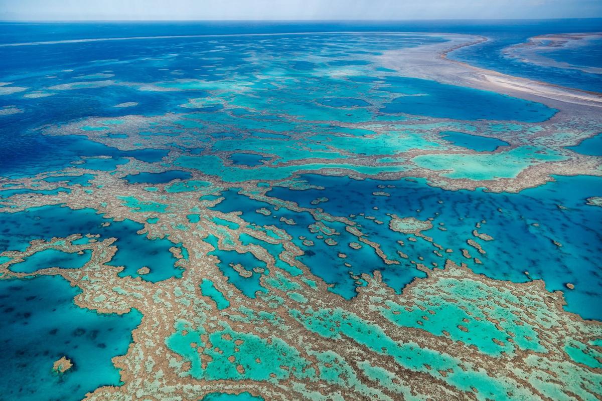 La Gran Barrera de Coral, en Australia.